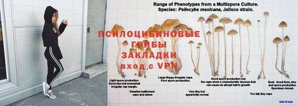 гидра Балахна