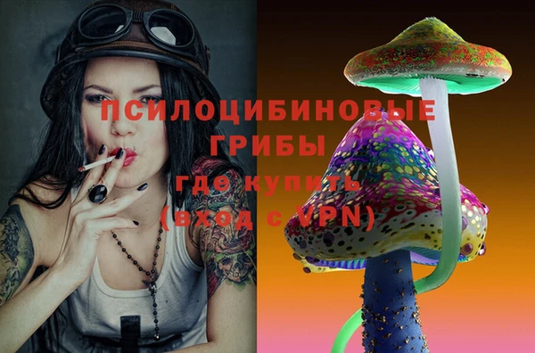 гидра Балахна