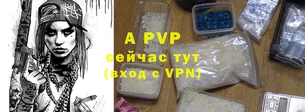 гидра Балахна